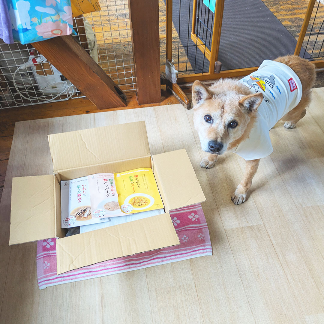 【保護犬寄付プログラムのご報告】