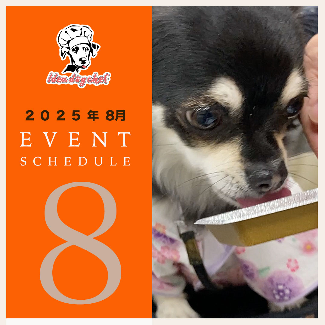 【8月イベント出店予定】