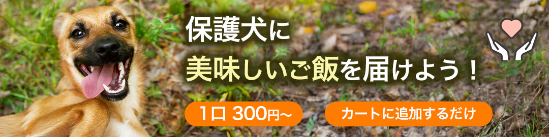 保護犬寄付プログラム