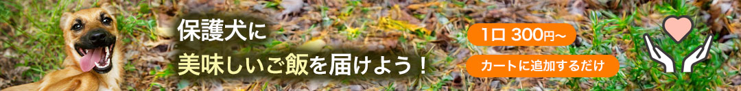 保護犬寄付プログラム