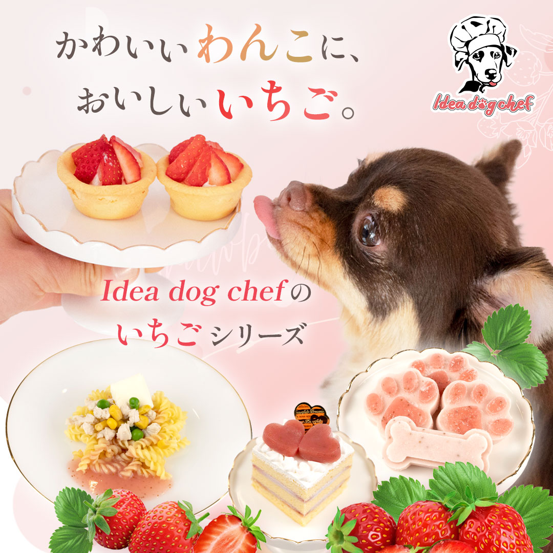 【いちごシリーズ発売】