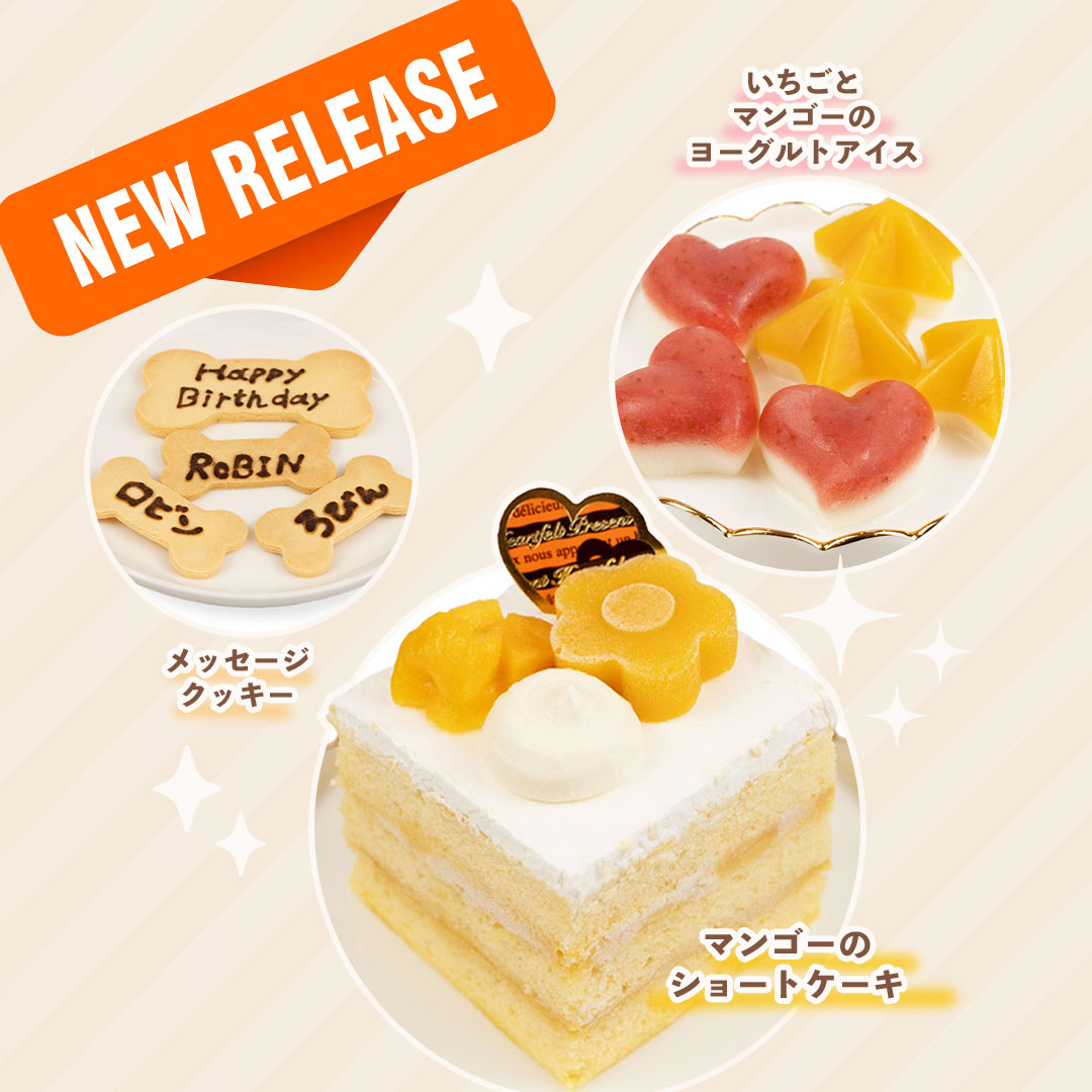 【新商品発売】