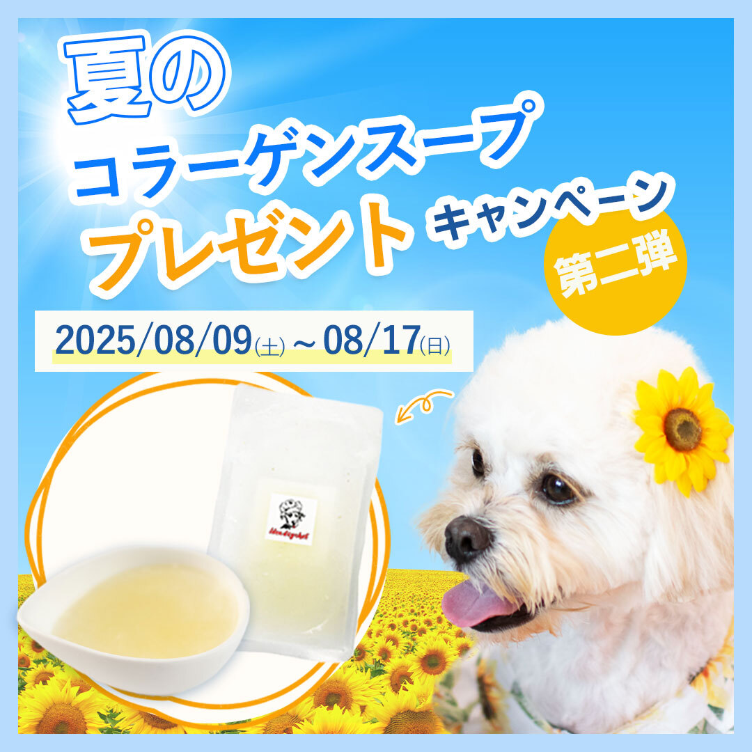 【夏のコラーゲンスーププレゼントキャンペーン第二弾】