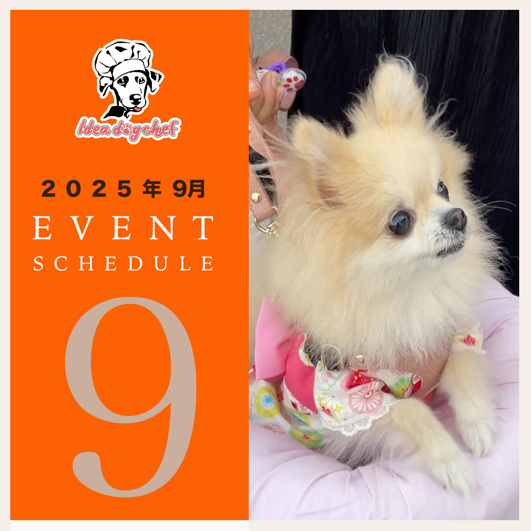 【9月イベント出店予定】