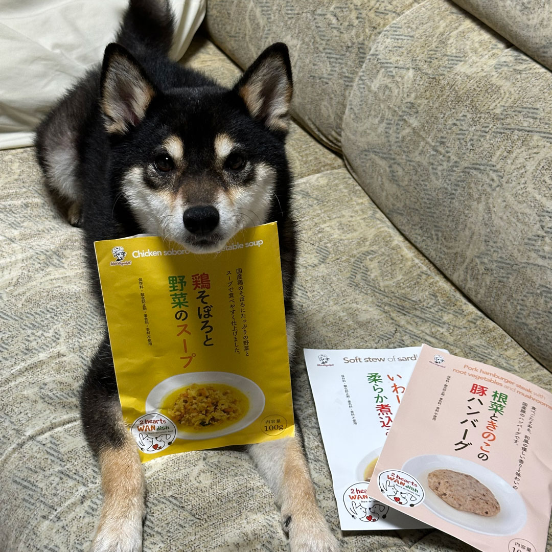 チョコプリンちゃんギャラリー写真