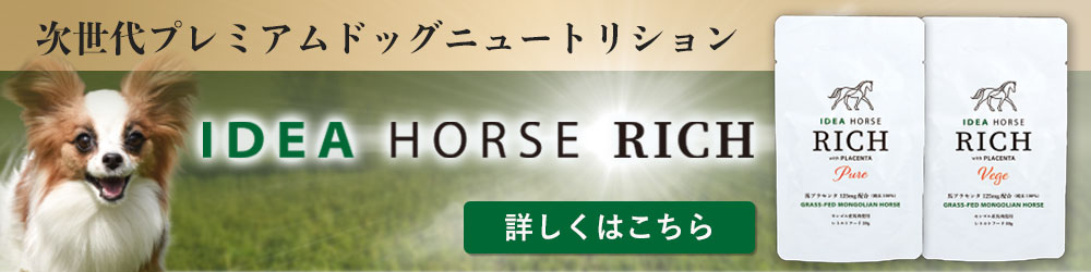 イデアホースリッチ