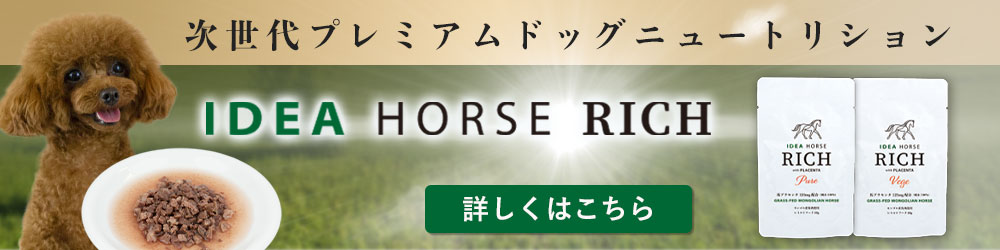 イデアホースリッチ