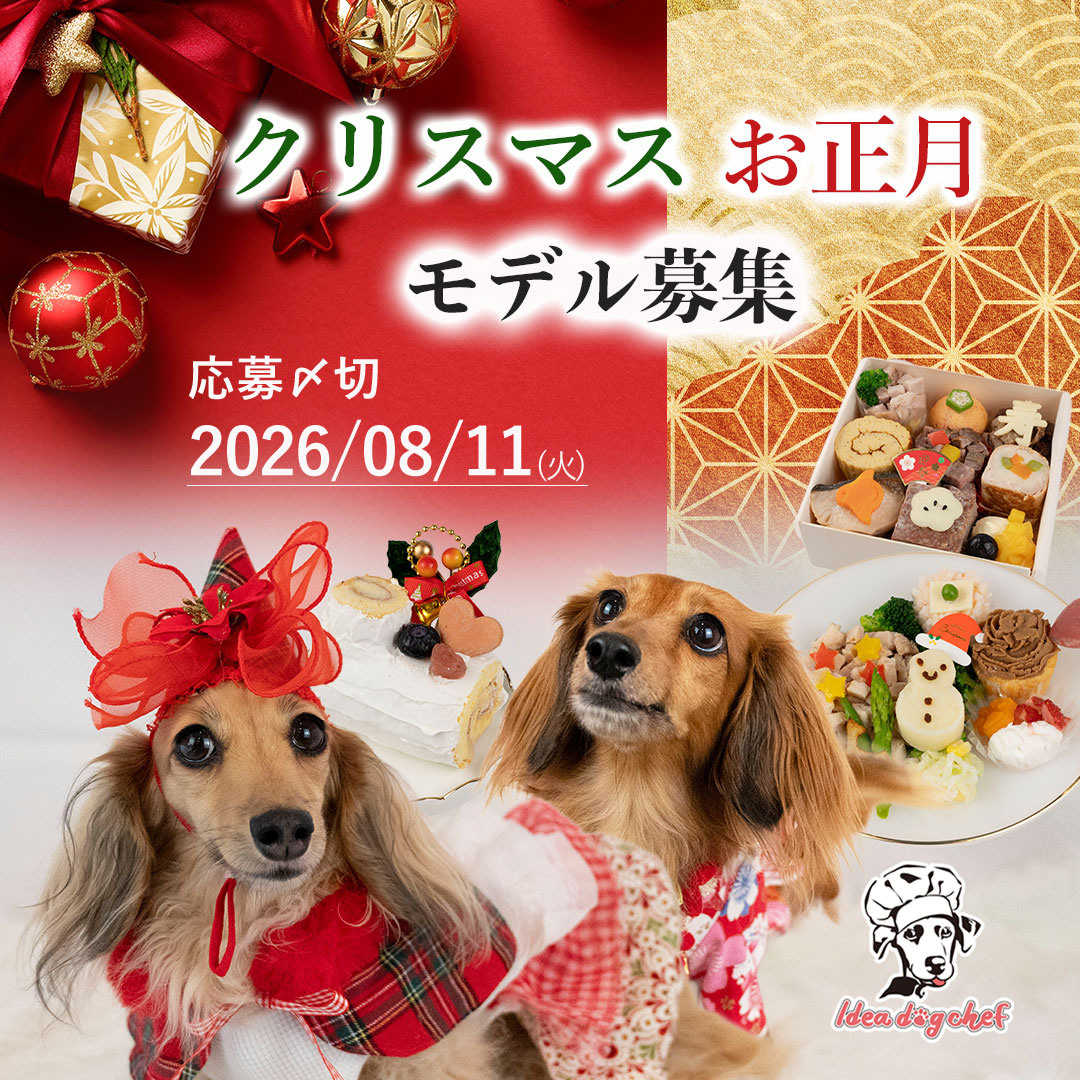 お知らせ : Idea dog chef(イデアドッグシェフ)